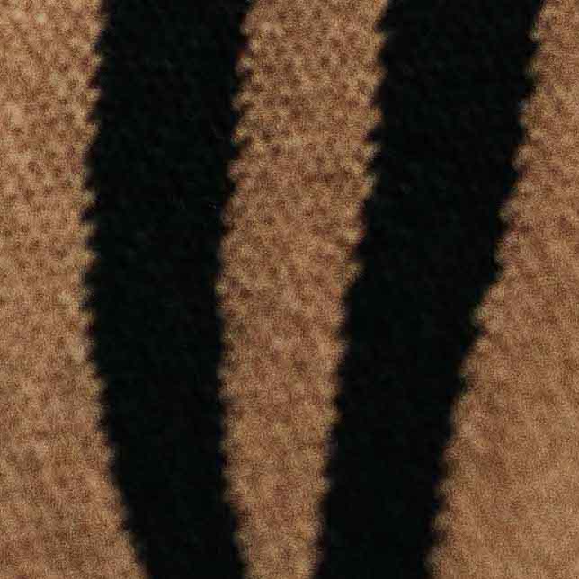 zebre