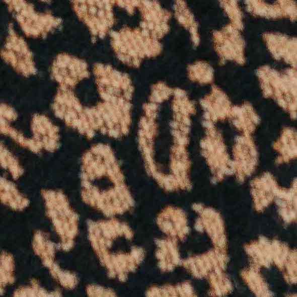 leopard