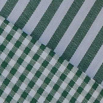 Chemise Fred bi-print vert
