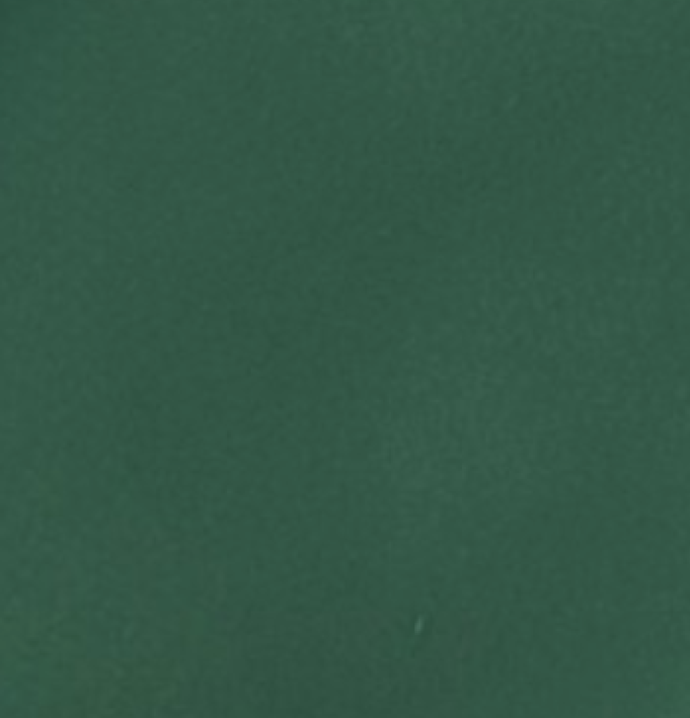 Le Bruxelles Vernis vert